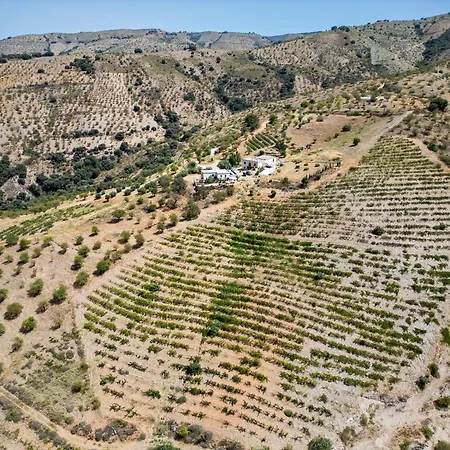 Entire Vineyard With Pool Holiday home Lobras