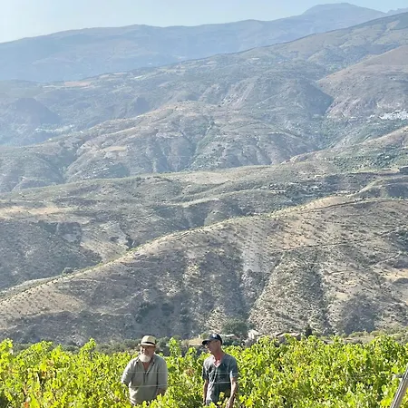 Entire Vineyard With Pool Lobras