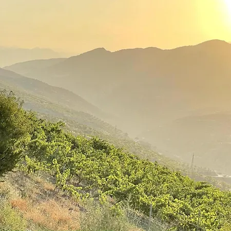 Entire Vineyard With Pool Holiday home Lobras