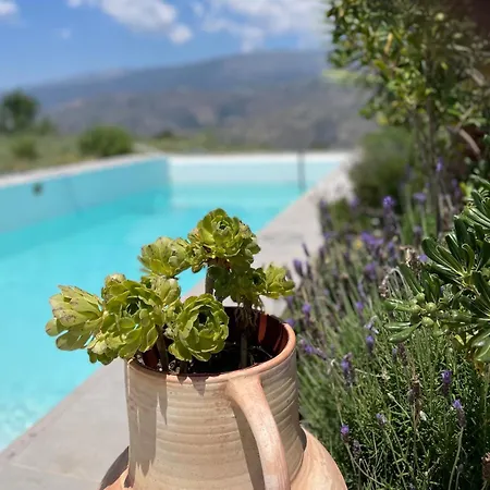 Entire Vineyard With Pool Holiday home