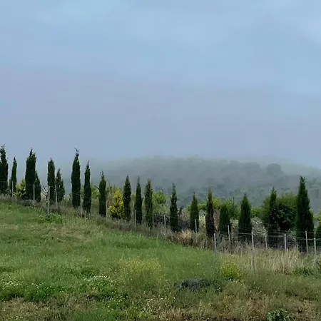 Entire Vineyard With Pool *