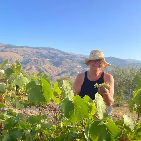 Entire Vineyard With Pool Holiday home *