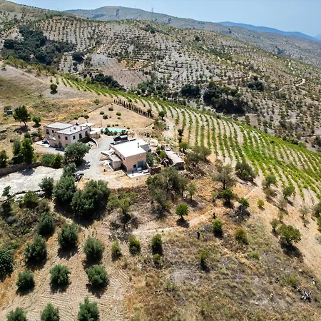 Entire Vineyard With Pool *