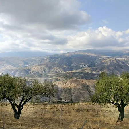 Entire Vineyard With Pool