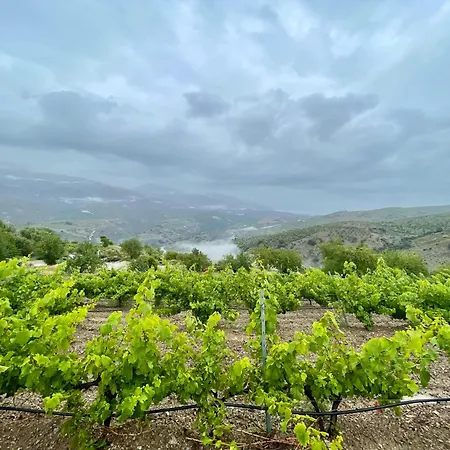 Entire Vineyard With Pool *